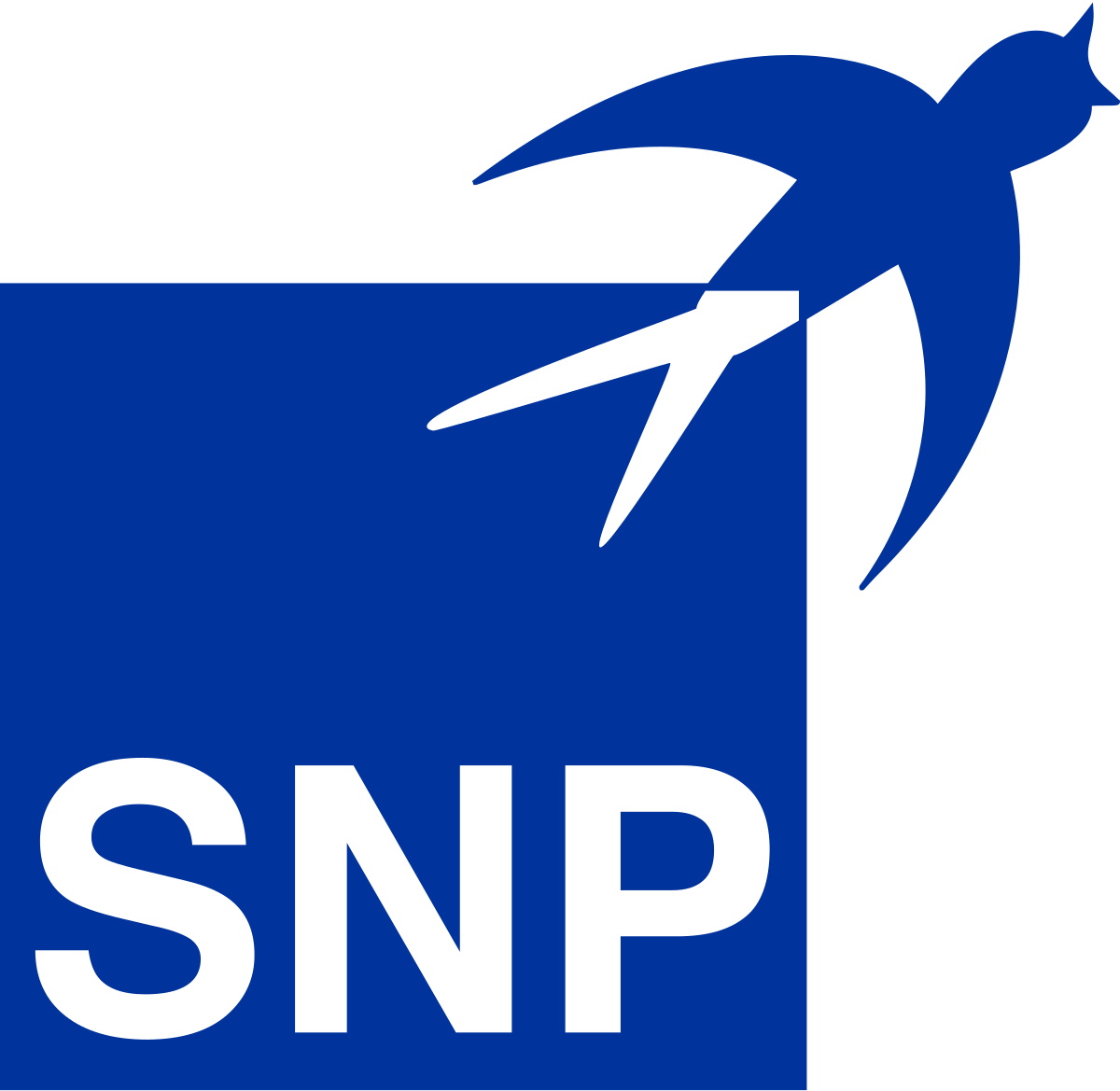 SNP Schneider-Neureither & Partner SE